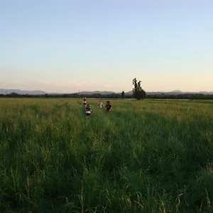 Tenuta Rivalazzo Noceto